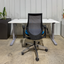 Large Height Adjustable Sit to Stand Desks Automatic